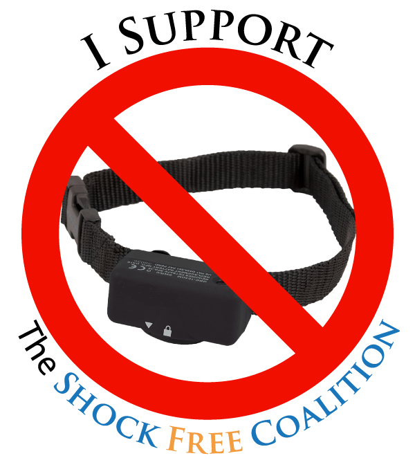 I Support The Shock Free Coalition